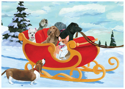 Dogs in Sled Boxed Holiday Cards