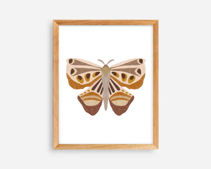 Woodland Moth :: 8x10 Art Print