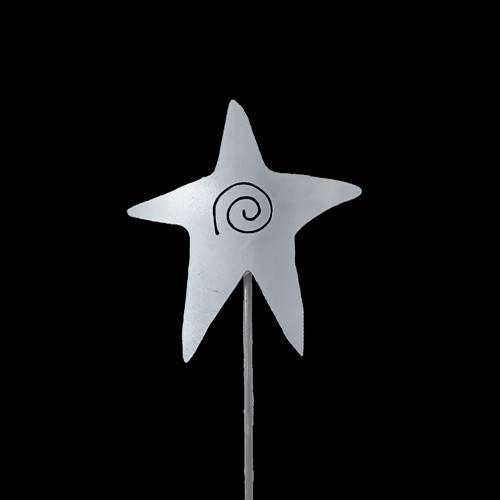 Glow Star Pole