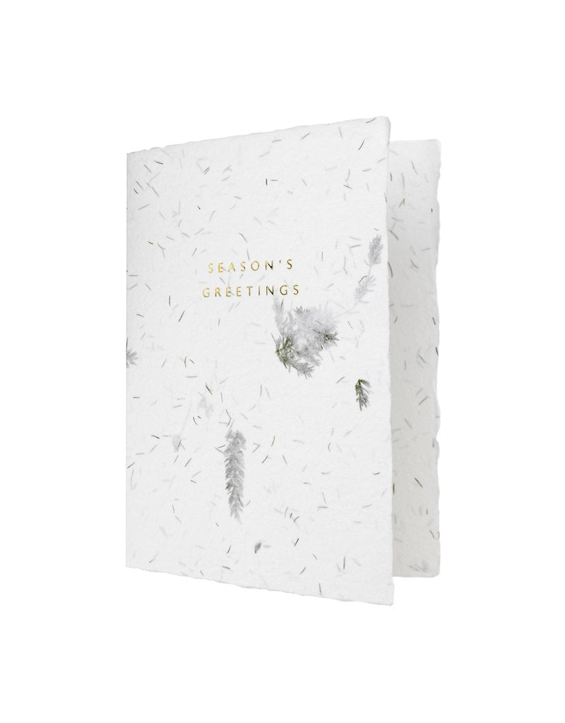 Fern Handmade Paper Holiday Collection