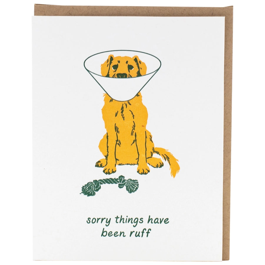 Dog w/ Cone Get Well Card