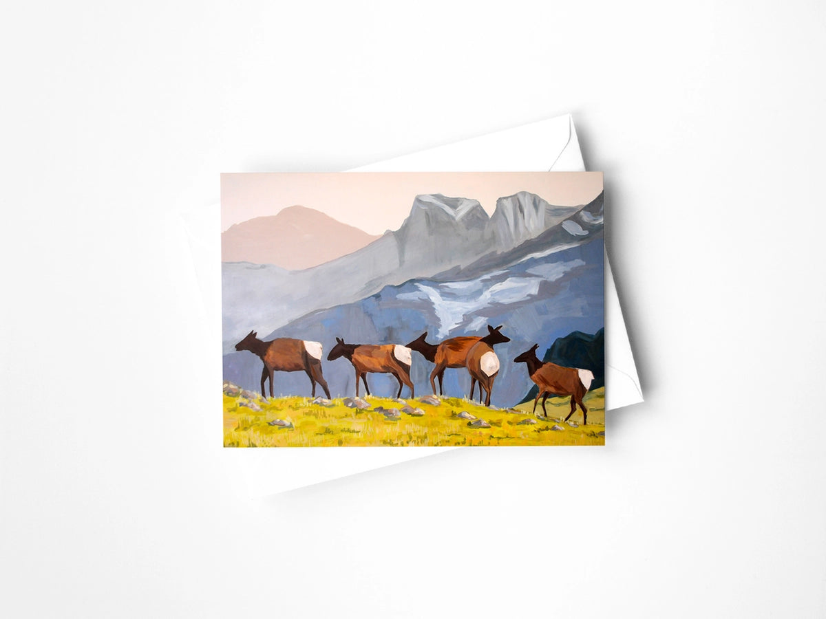 Elk Herd Card