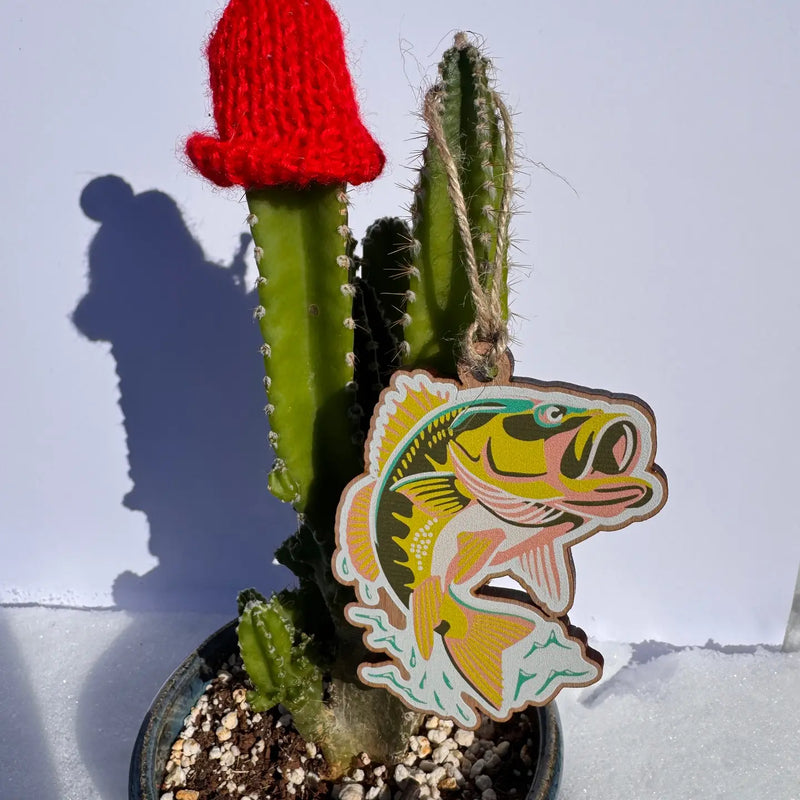 Cactus with a red hat and a colorful fish-shaped ornament on a white background