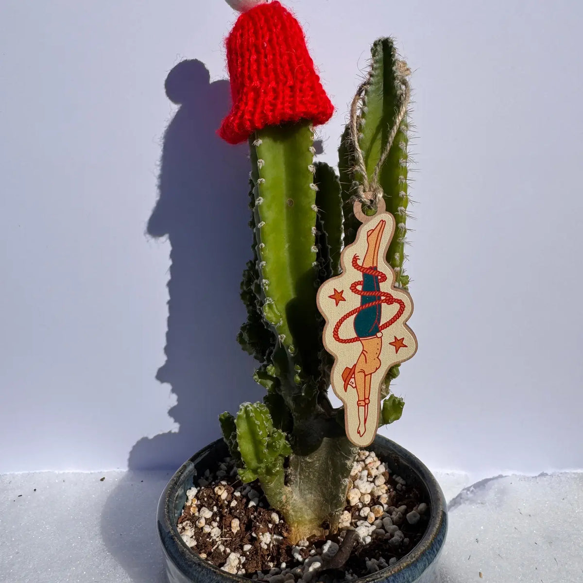 Cactus plant with a red knit hat and a decorative ornament depicting a diving cowfirl on a light gray background
