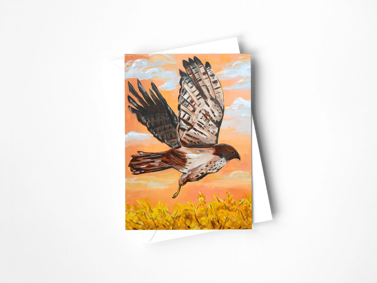 Red-Tailed Hawk Greeting Card