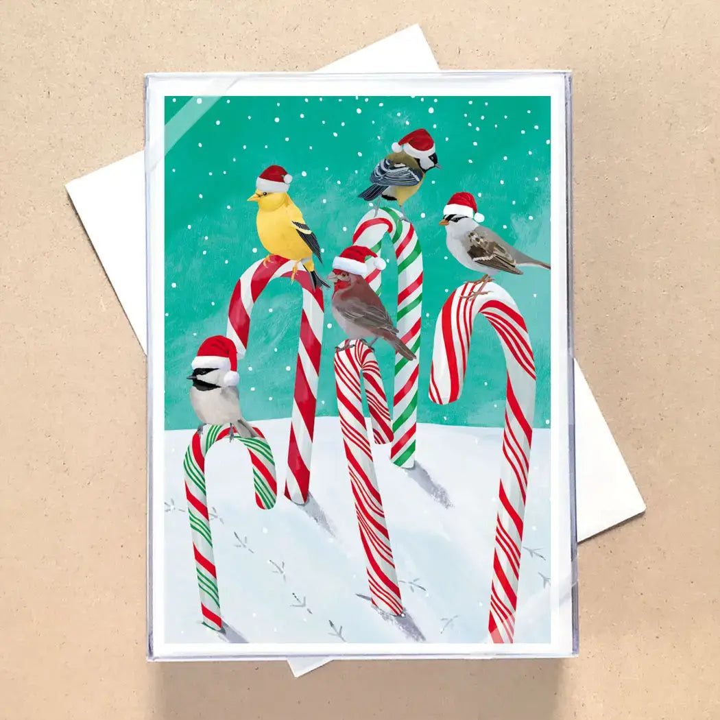 A square greeting card with a white border and a colorful winter illustration of birds perched on red-and-white candy canes against a teal snowy background, shown with a white envelope on a tan surface.