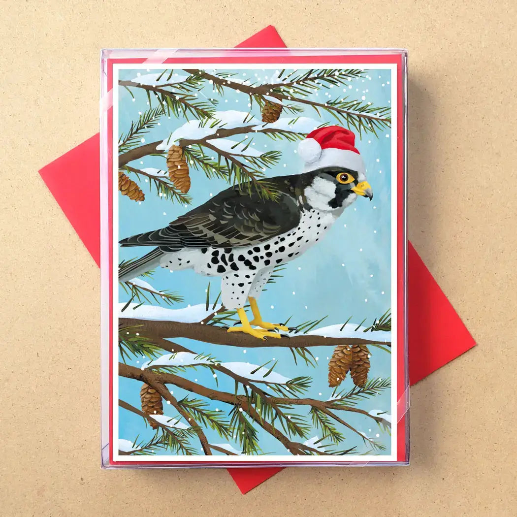 A square greeting card featuring an illustrated falcon perched on snowy pine branches and wearing a red Santa hat, shown with red envelopes on a tan background.