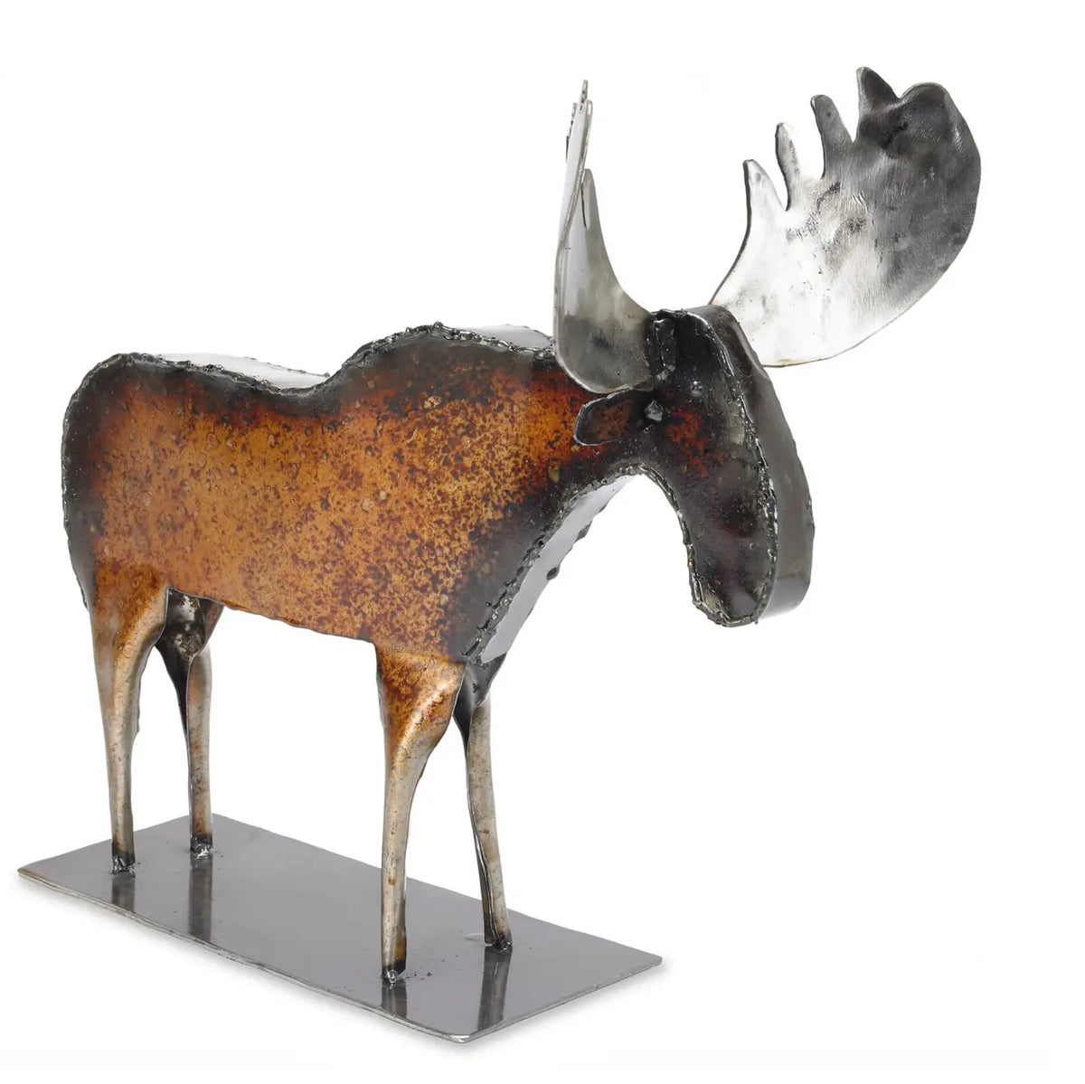 Monte the Moose