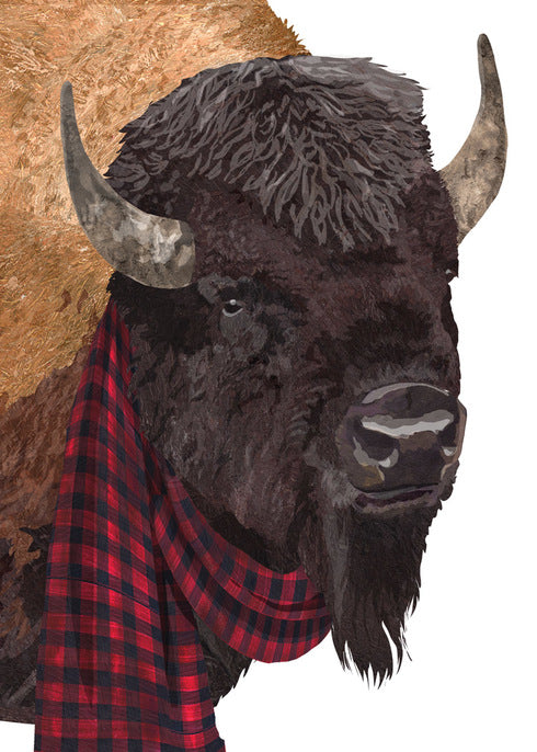 Buffalo with scarf holiday card
