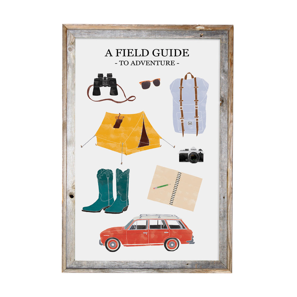 A Field Guide to Adventures 11x17 Print