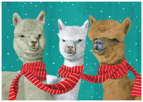 Llamas in Scarf Boxed Holiday Cards