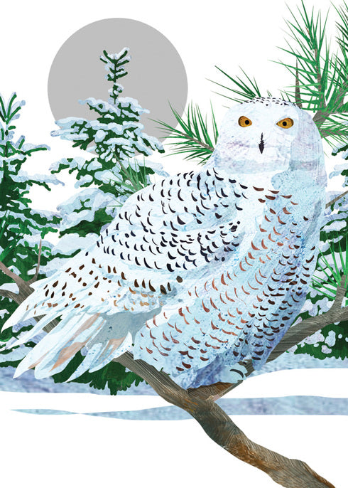 Snowy White Owl Boxed Holiday Cards