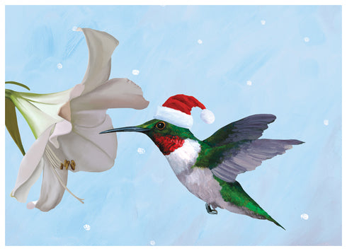 Holiday Hummingbird Card