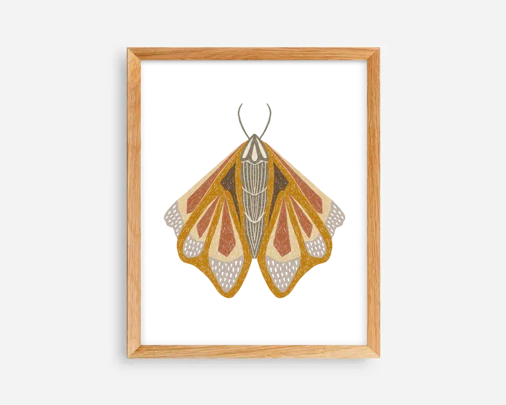 Triad Moth :: 8x10 Art Print
