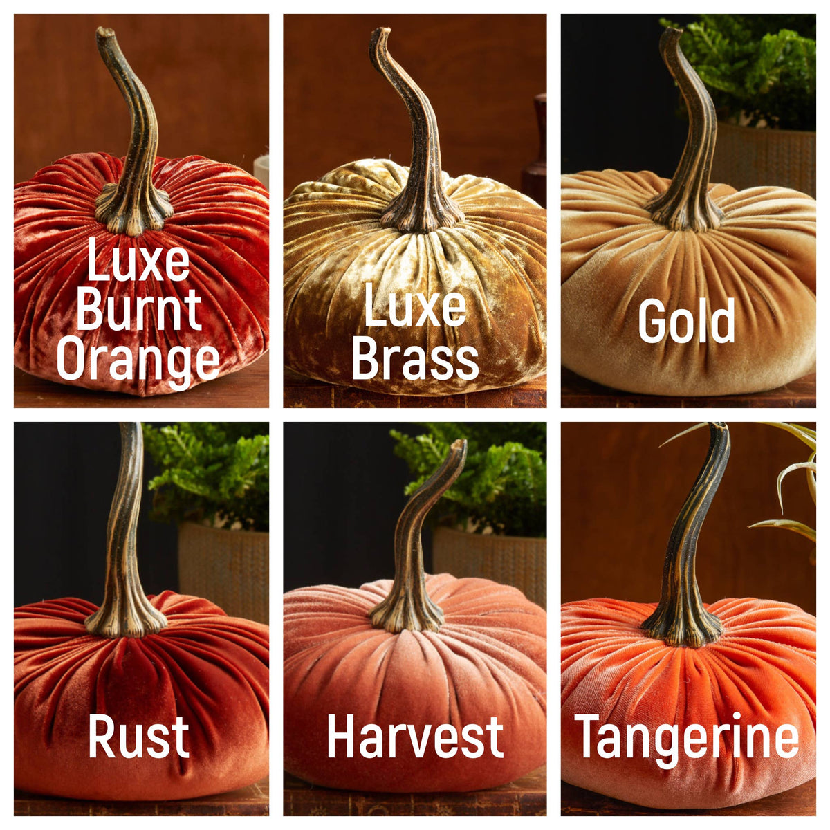 Orange and Gold Pumpkin Color Swatches