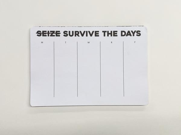 Humorous Tear-Away Notepad Seize Crossed Out Survive The Days