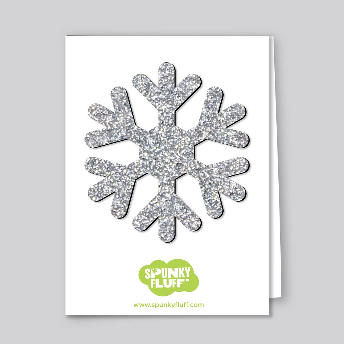 Limited-Edition Snowflake Magnets