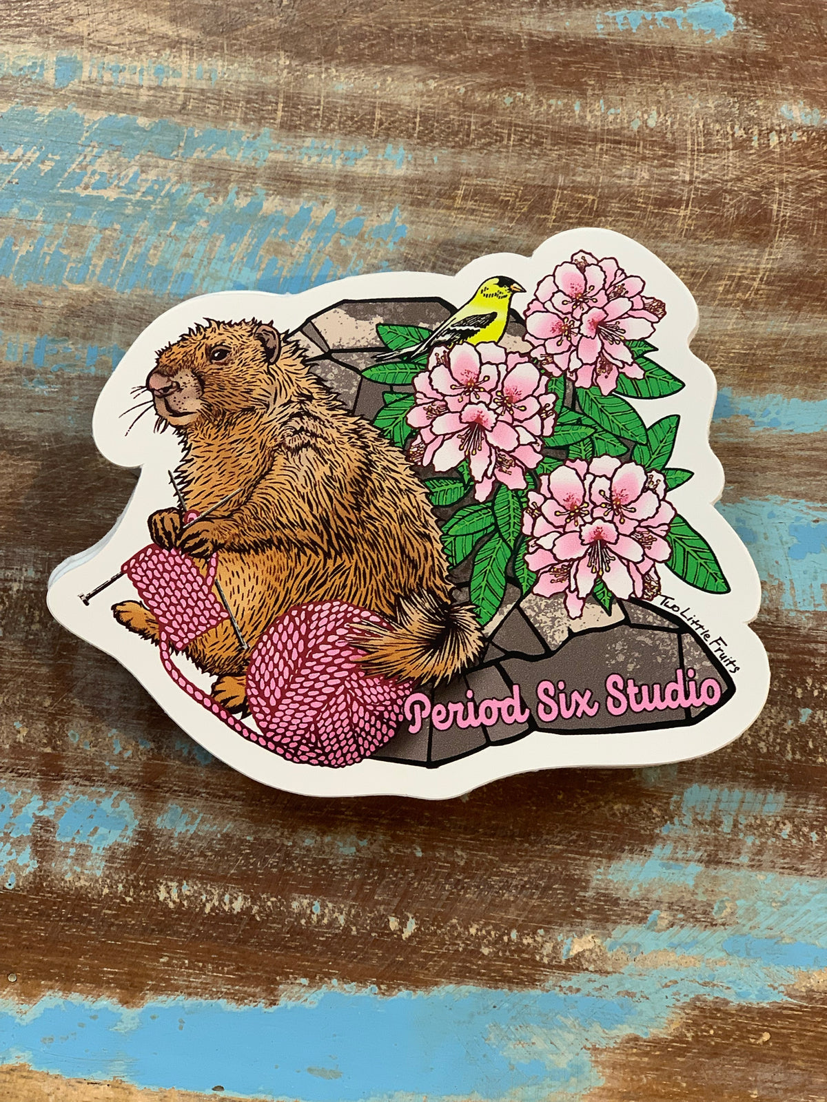Knitting Marmot Illustration on a Vinyl Sticker with Period Six Studio written along the bottom